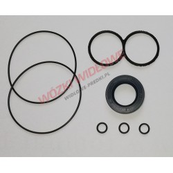 kpl. uszczelnień pompy PZ2-KZ-40