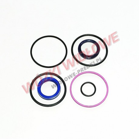 uszczelnienia cylindra Hyster H2,50